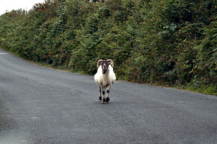 20060805-162706-PICT8329.jpg: Irland 2006